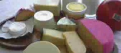 laticinios-sao-jose-de-ribamar-1380755566