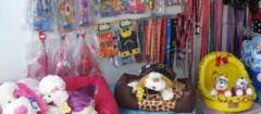 petshop-sao-jose-de-ribamar-1380801531