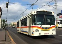 paralisação do transporte coletivo