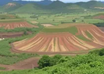 Lava-Pratos de Ribamar