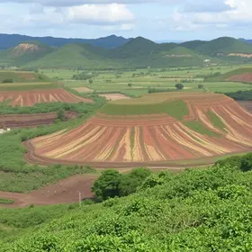 Lava-Pratos de Ribamar