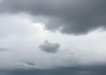 São José de Ribamar