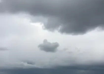 Últimas noticias de São José de Ribamar