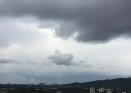 Últimas noticias de São José de Ribamar