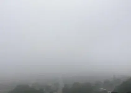 Últimas noticias de São José de Ribamar