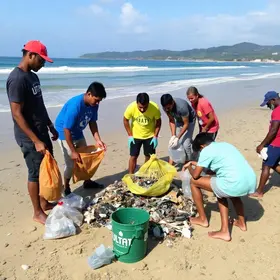 remocao de residuos na restinga de panaquatira