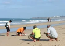 combater a poluição sonora