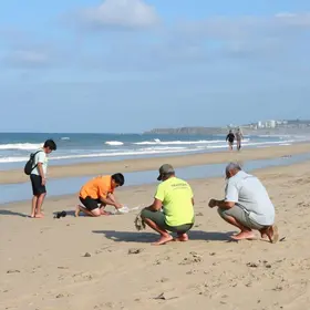 combater a poluição sonora