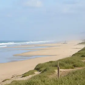 poluição sonora