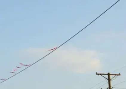 Últimas noticias de São José de Ribamar
