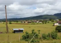 terreno abandonado