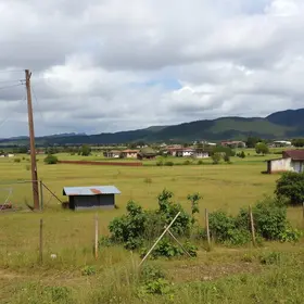 terreno abandonado