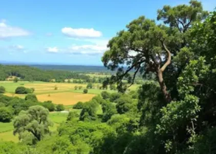 Últimas noticias de São José de Ribamar