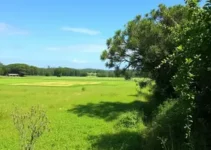 turismo rural
