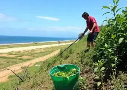 Últimas noticias de São José de Ribamar