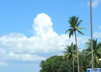 Últimas noticias de São José de Ribamar